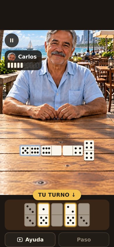 Partida de dominó